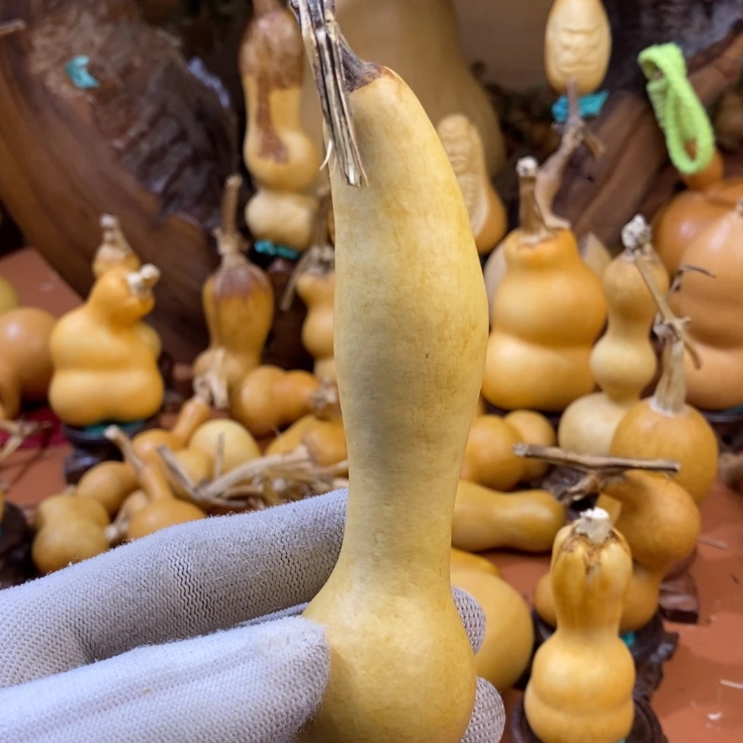 低***调巴勒莫的分泌啦啦