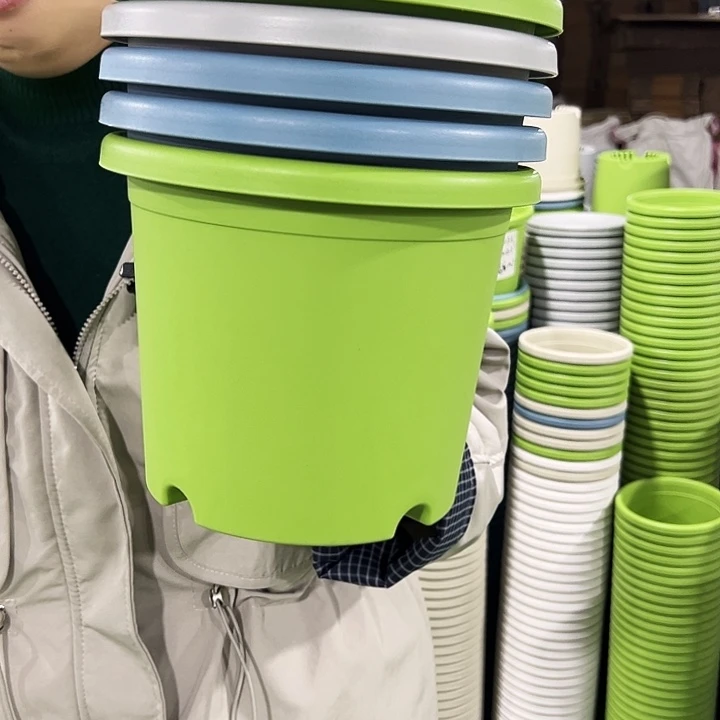 特价3号四季口21高18白色带托10只