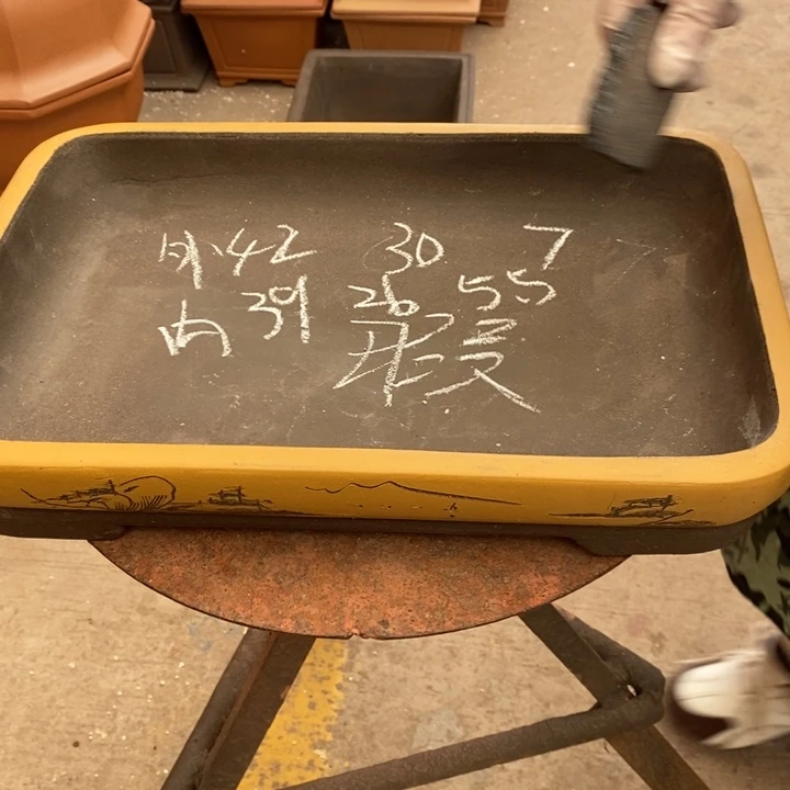 花盆紫砂只顾看着自己