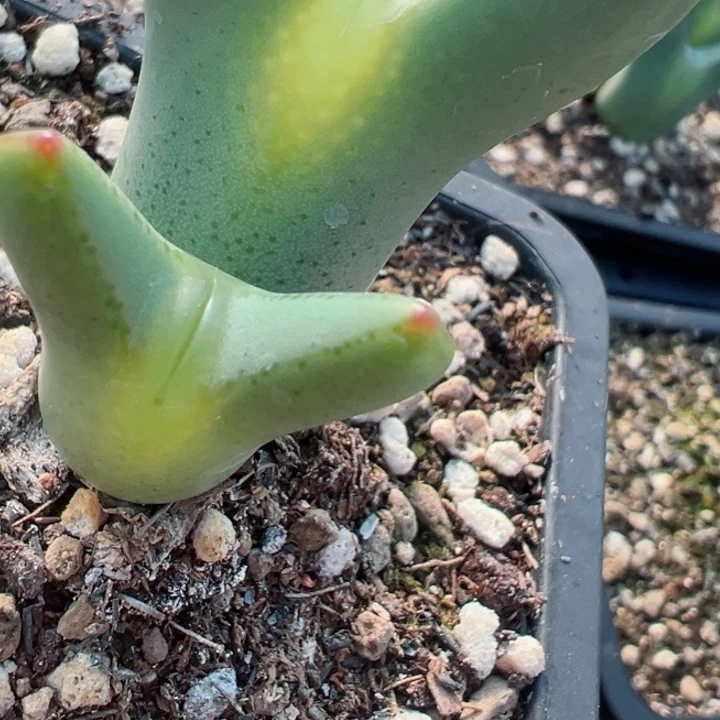 猪***?307号11111111111111