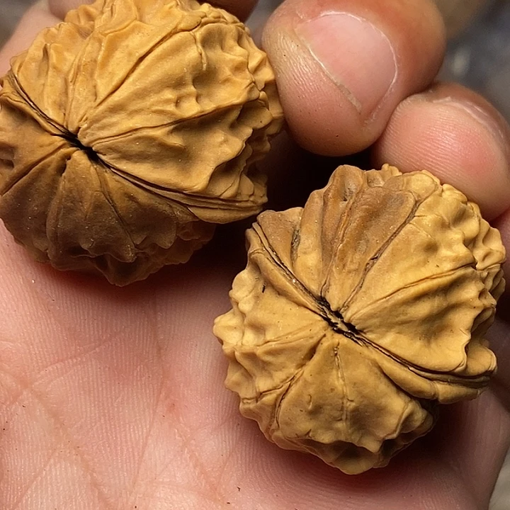 文玩核桃把件云南铁核桃99