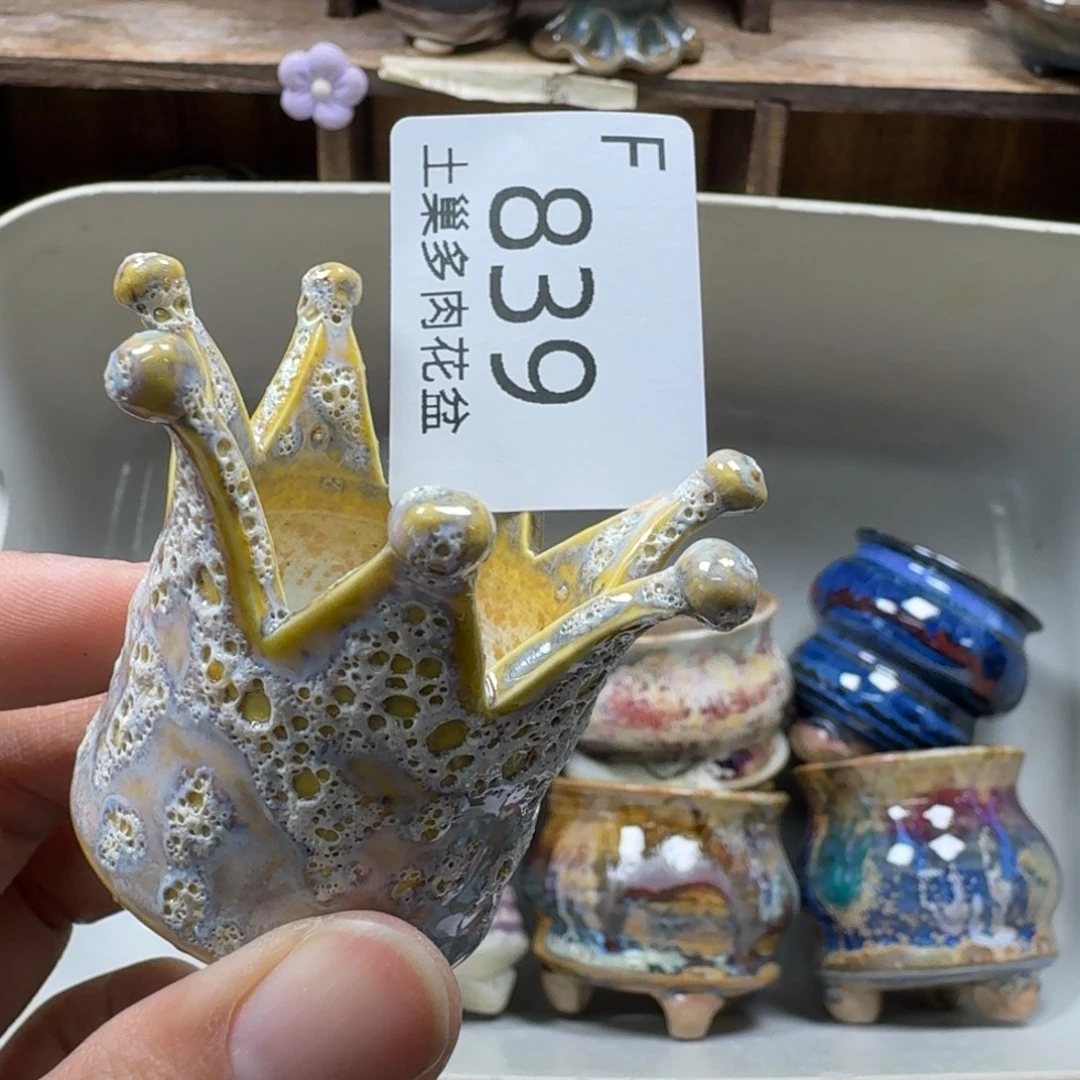 ₍***星陶瓷艺术品设计与制作