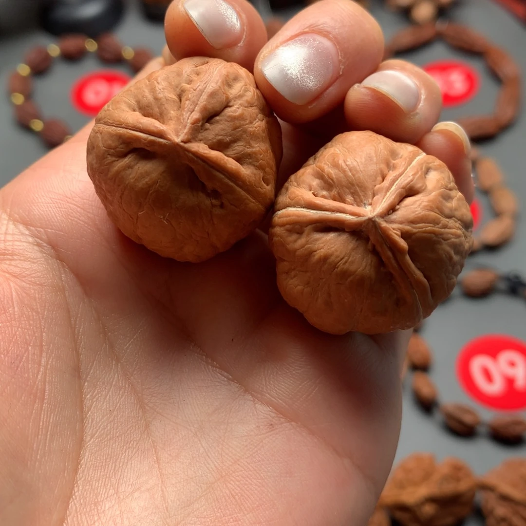 核桃39东北秋子三棱