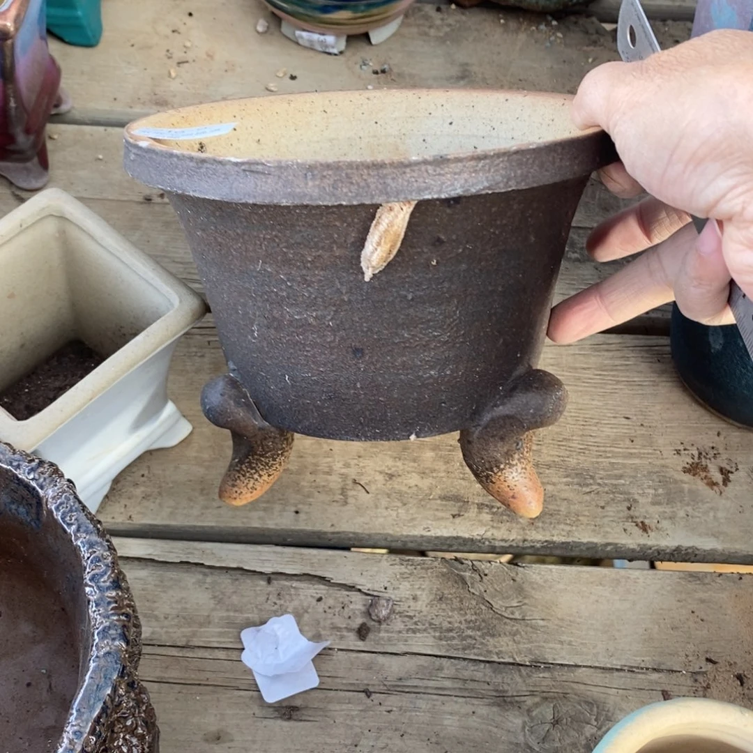 97号多肉盆口径14