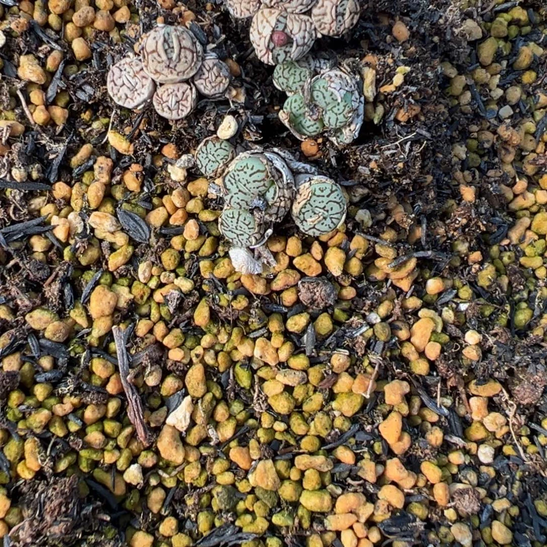 3-74量拍m344墨一群