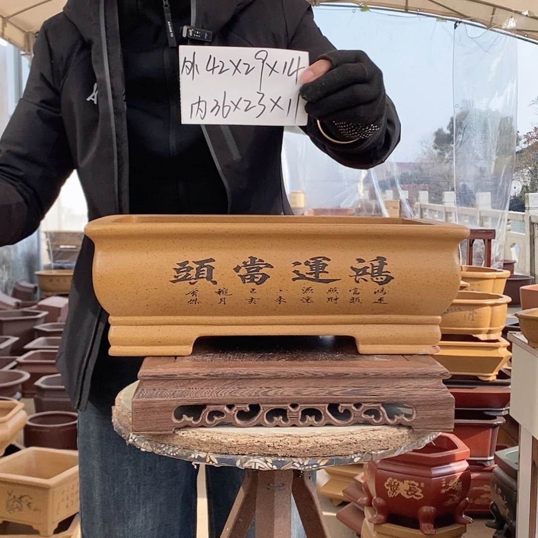 花盆紫砂紫砂花盆