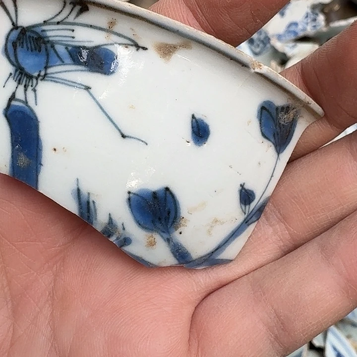 瓷片瓷片标本，顺丰包邮