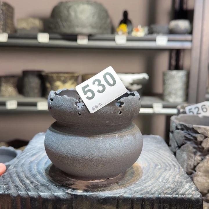 内口8.5高9块根植物盆镂空款