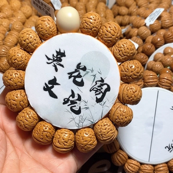 星**空1号链接，肌肉肥旗