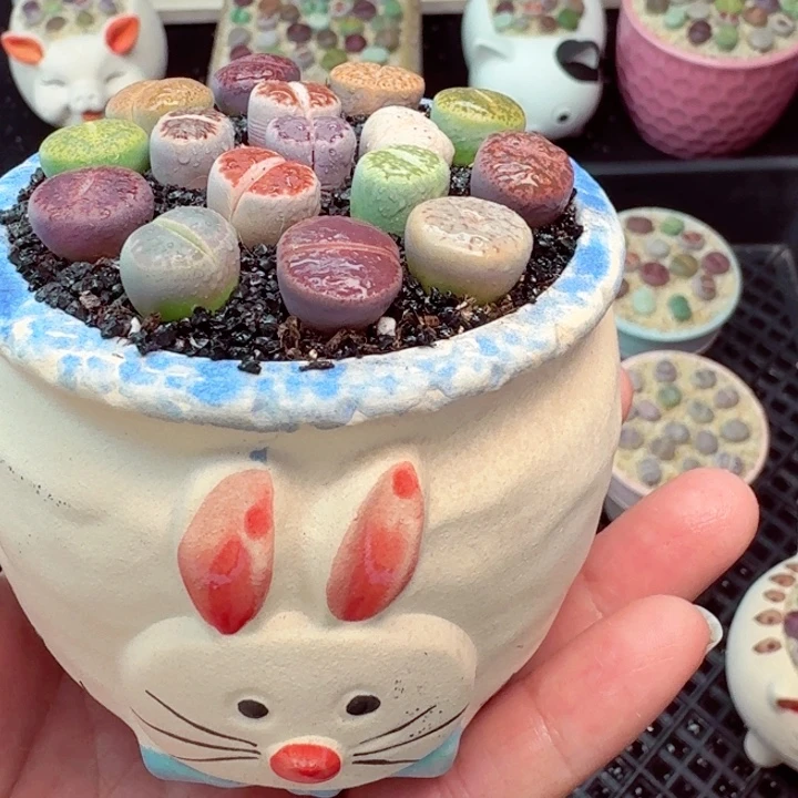 8022零下地区记得拍保温箱