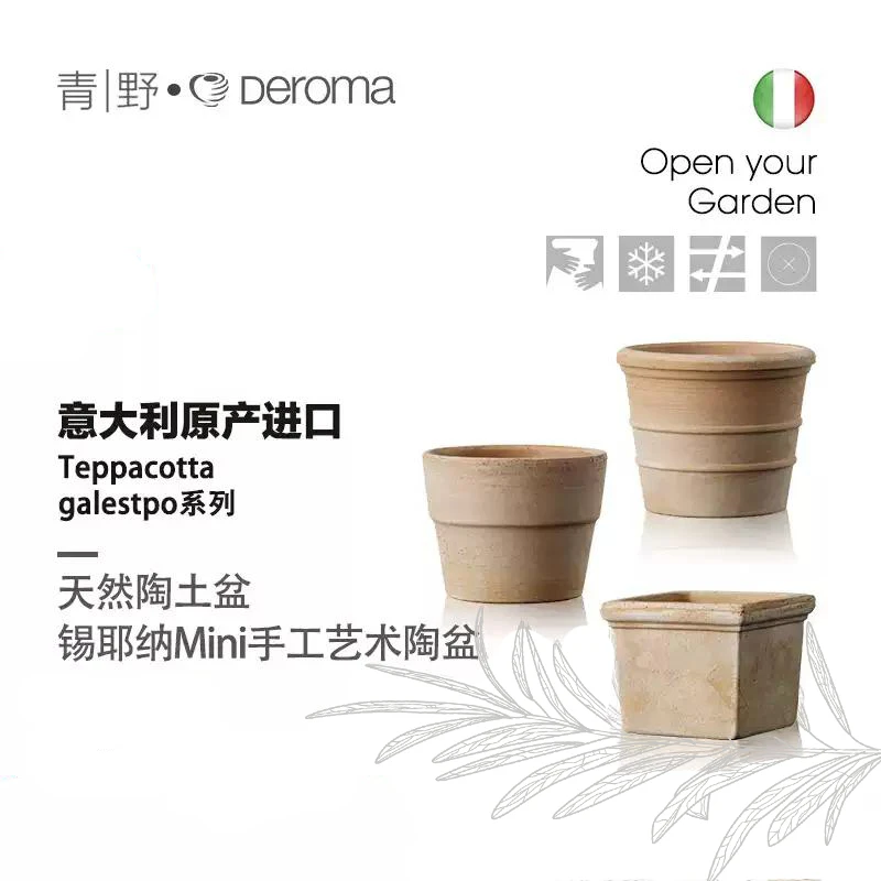 deroma帝罗马多肉植物花盆吸水透气室内盆栽植物绿植种植陶土盆