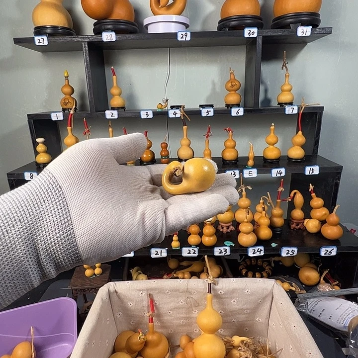 蜜***儿有机玻璃蚂蚁蚂蚁蚂蚁蚂蚁