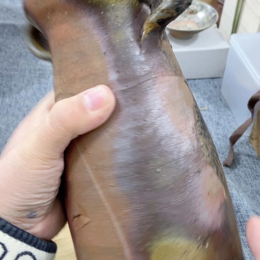 紫砂茶杯非常满意好看得物件