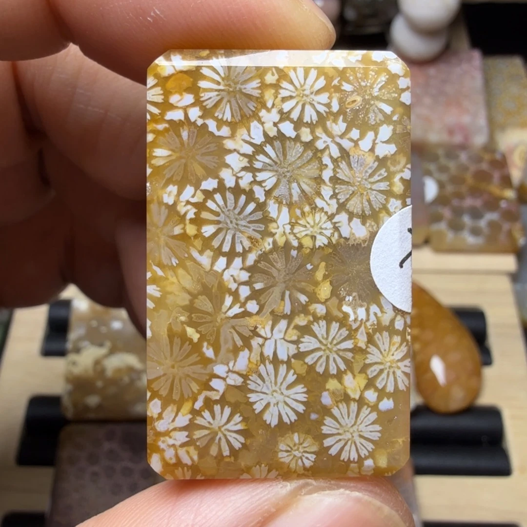 硅化玉未镶嵌纯天然色有机玉石保真色