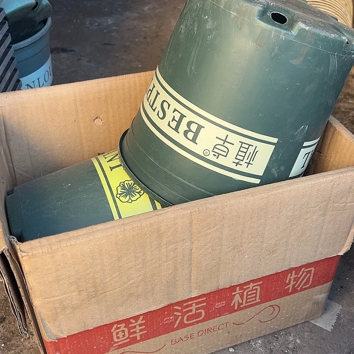 加仑盆口径22高21发6个