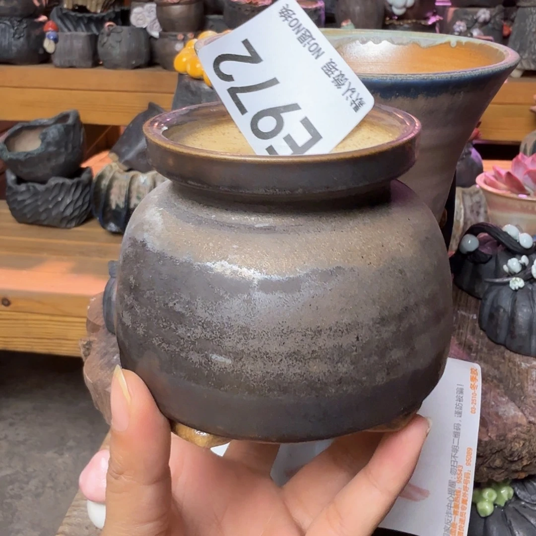 重庆小燕子欢迎大家972