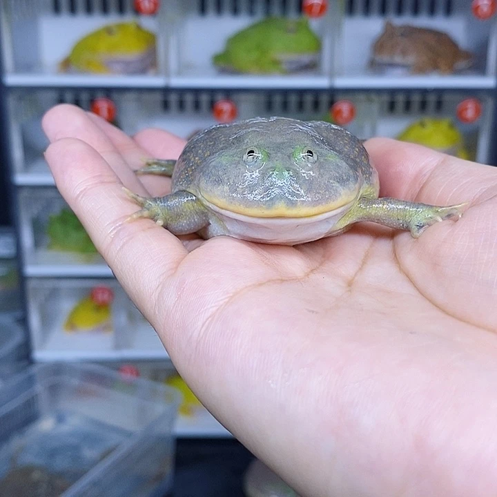 特价促销特价秒杀