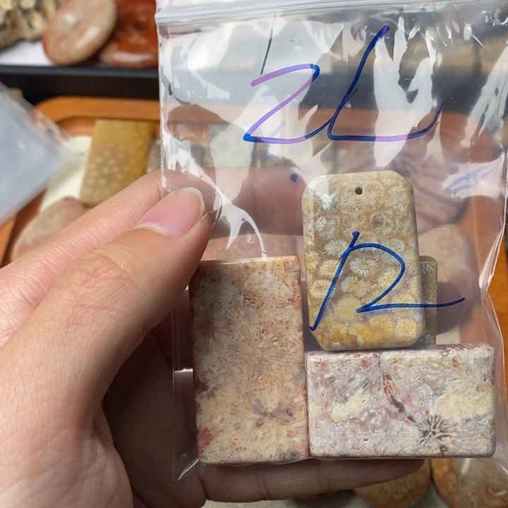 硅化玉颈饰足金镶嵌Z**澍