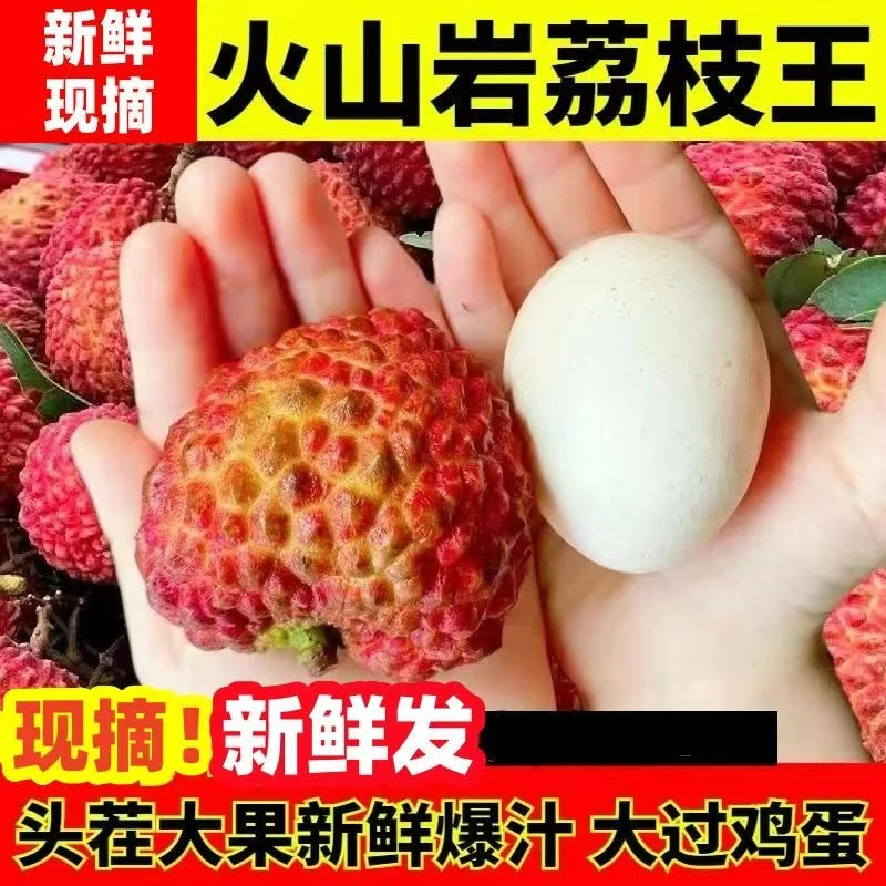 【顺丰冷链包邮】DZ1海南永兴荔枝王新鲜现摘清甜实惠1斤装