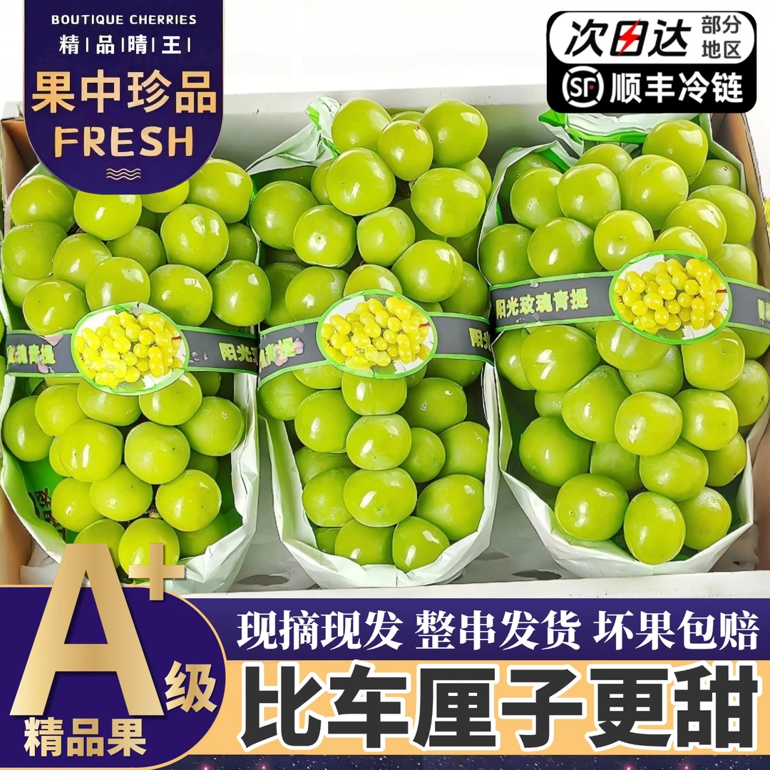 顺丰次日达【5斤大果整箱】精品阳光玫瑰葡萄当季新鲜现摘现发3/5斤