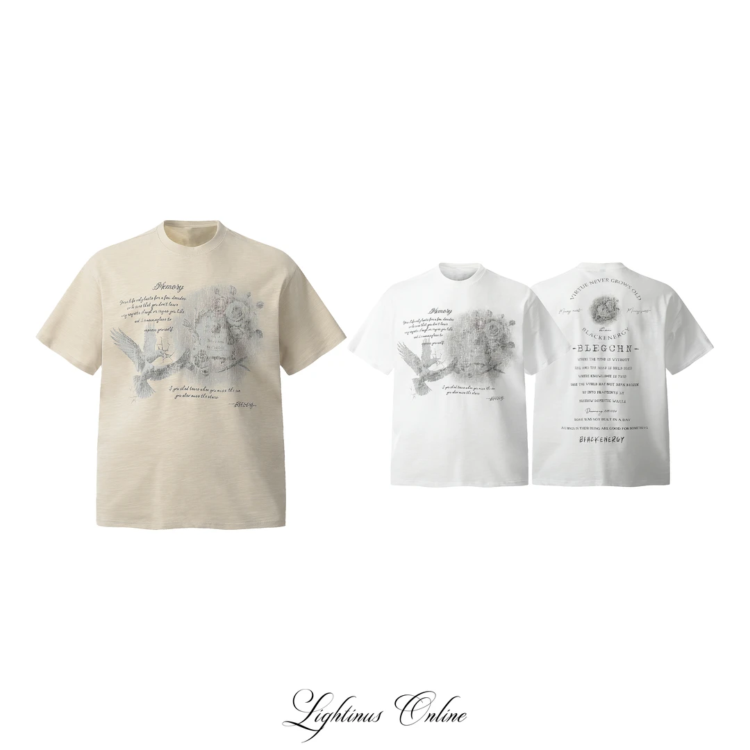 LightinUs美式复古做旧鸽子印花短袖男夏季短宽正肩圆领T恤潮