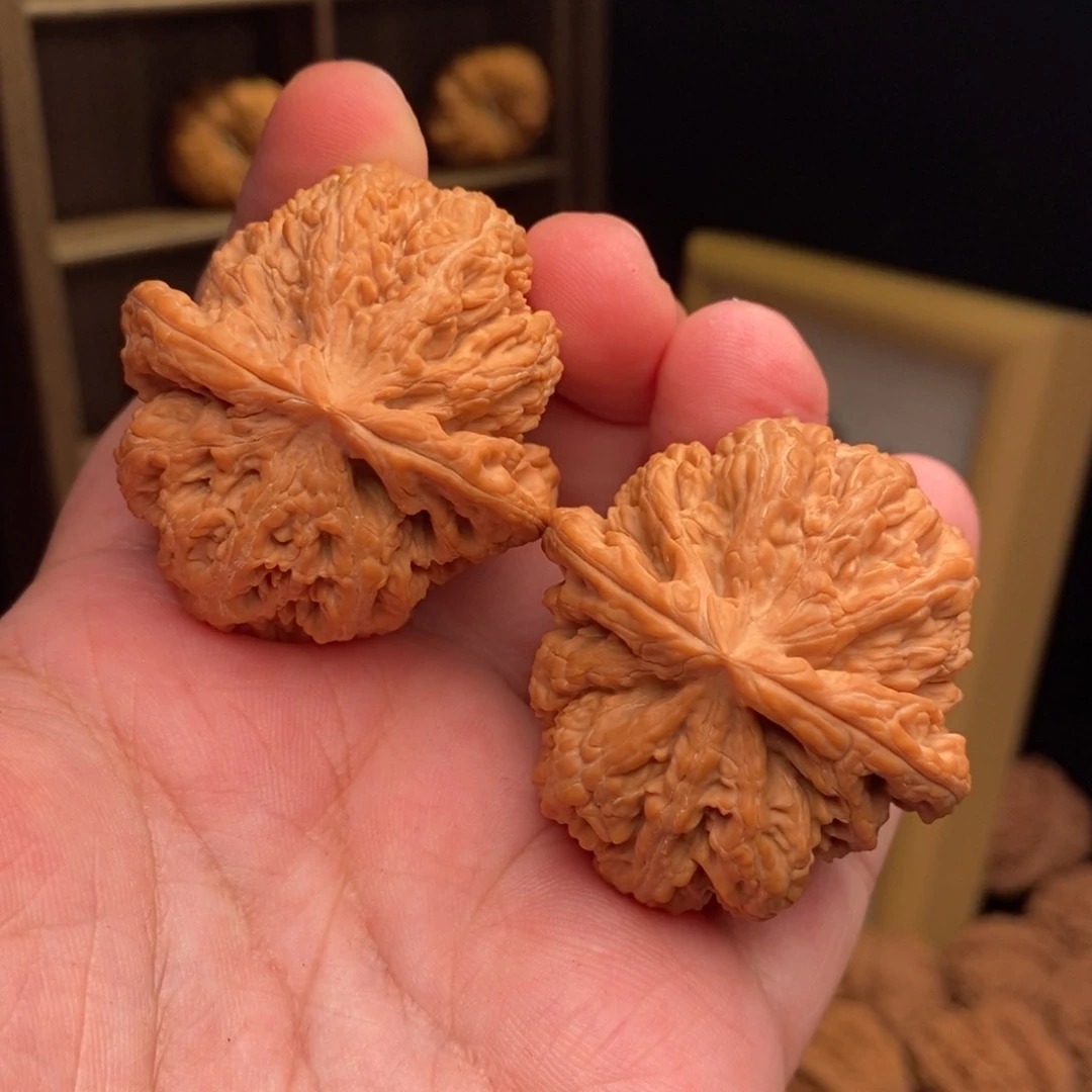 文玩核桃把件43大粗筋（全品）