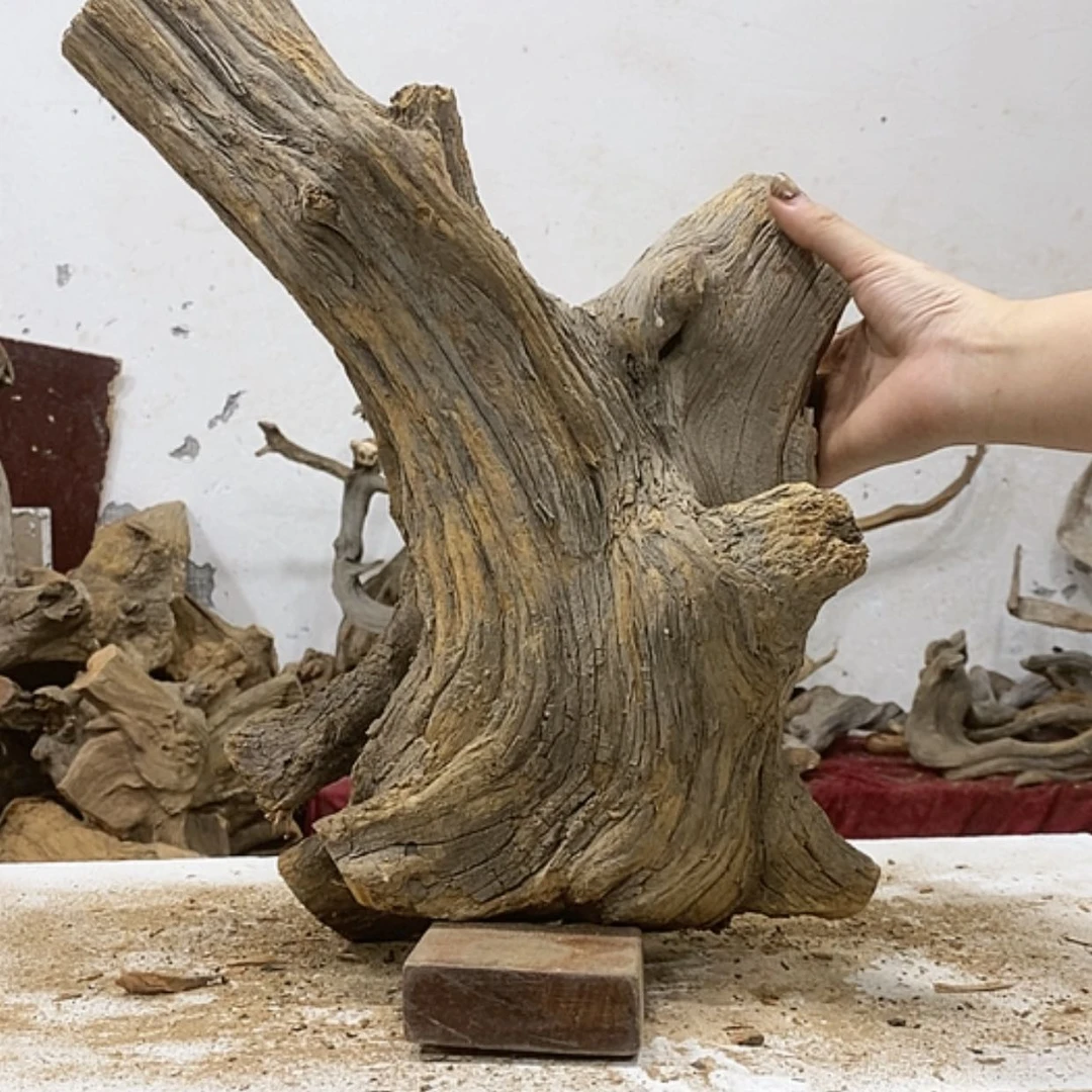 【闪购商品】柏木人**湖我们都是好孩子