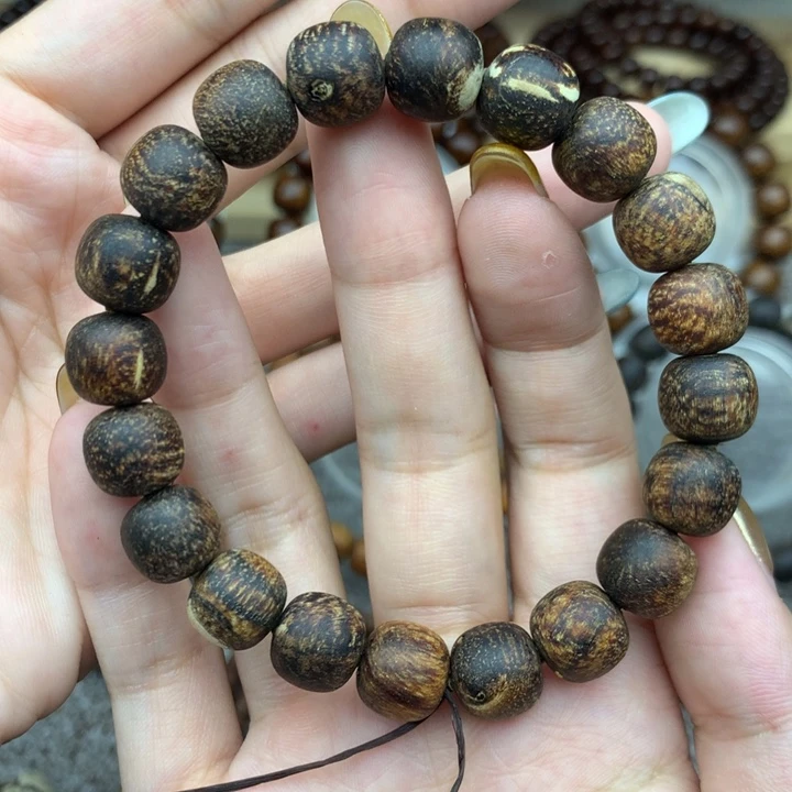 贡木印尼1/1.1黑龙鳞瑕疵虫漏（不退不换）