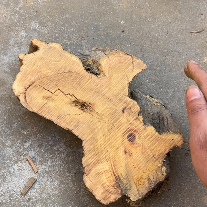 一***人柏木南太行崖柏切片