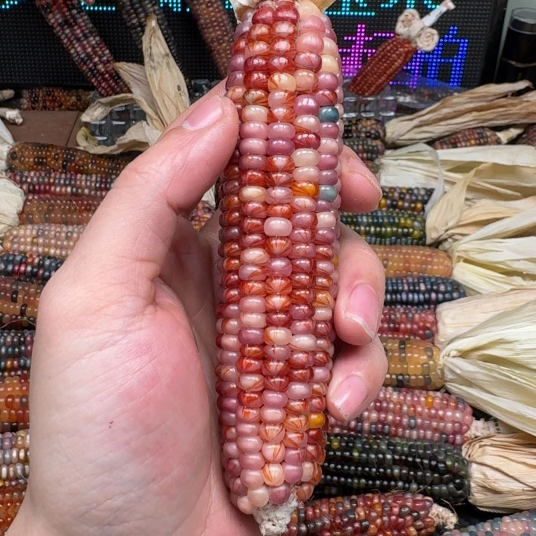 柏香籽/百香籽吊坠凌***油