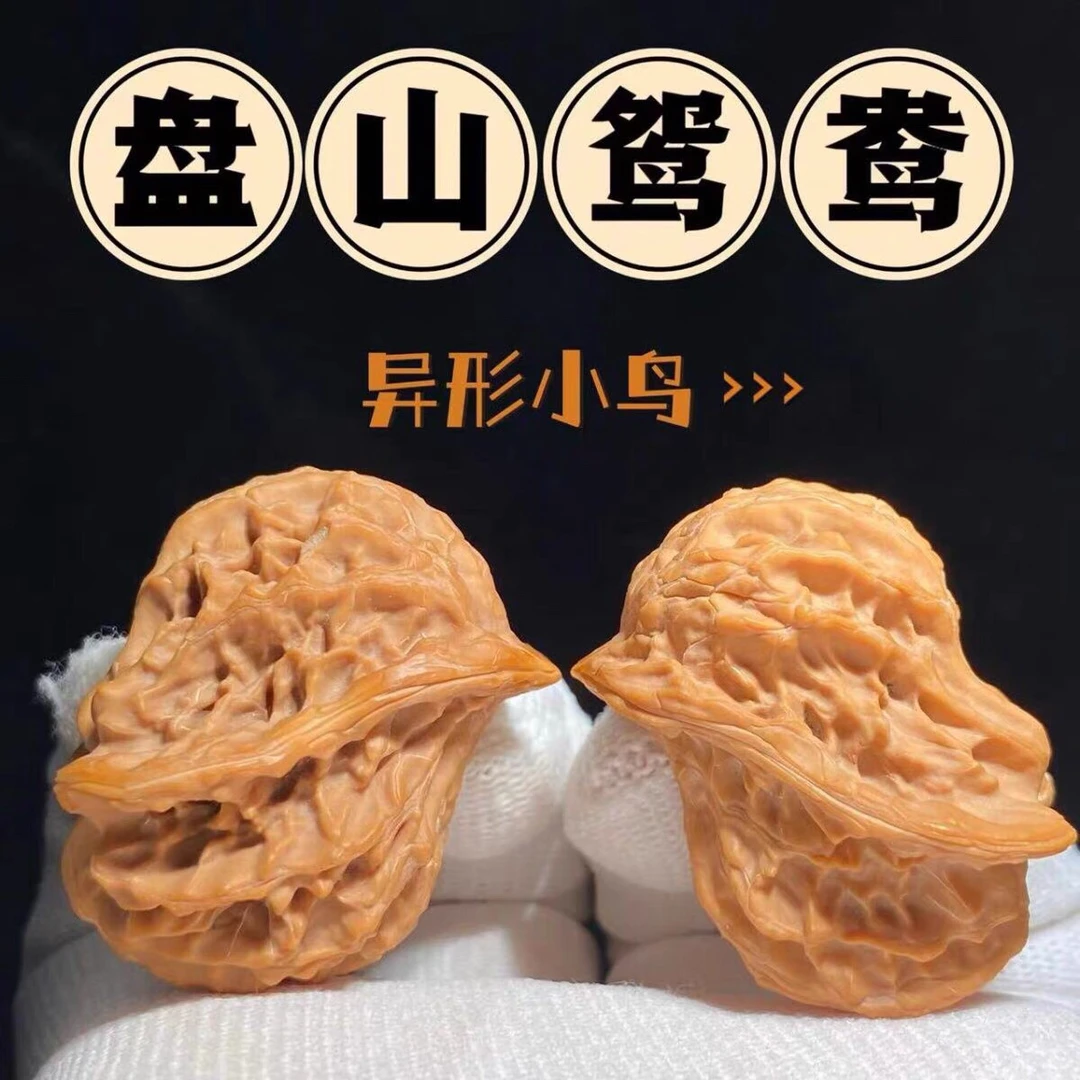 文玩核桃盘山异形鸳鸯葫芦小鸟小手捻一物一图山地老树果手把件