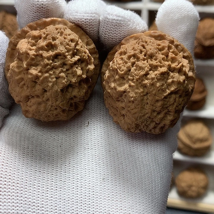 核桃41尺蚂蚁纹路3号