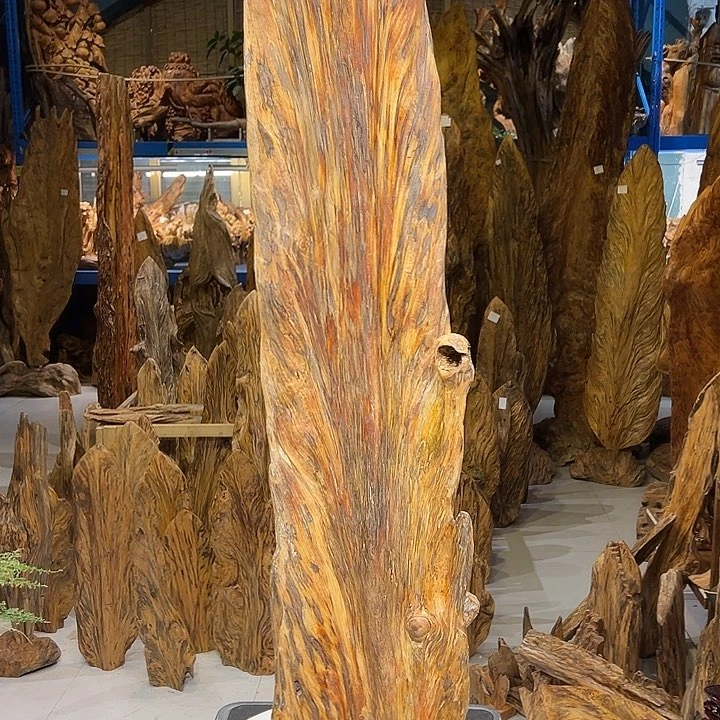 松木（琥珀木）小*哥