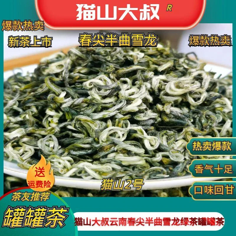 猫山大叔【西奇猫2号】2025新茶云南春尖雪龙雪螺茶兰州甘肃罐罐茶