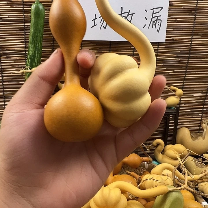 慎***好葫芦葫芦葫芦葫芦家里回老家了