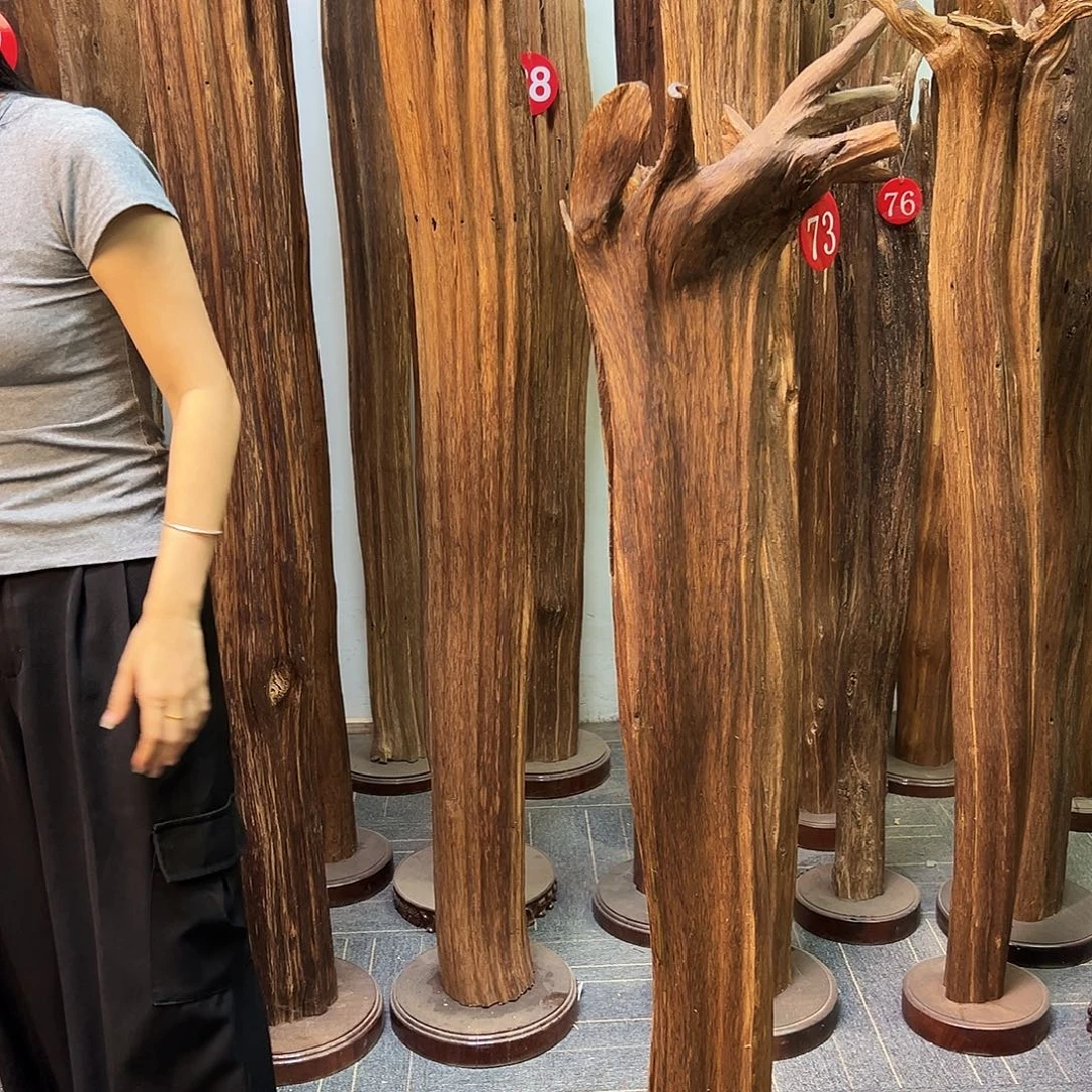 沉香碎屑沉香天然沉香原料香料