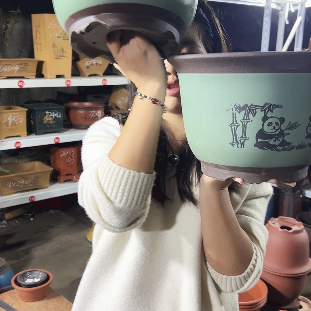 30+30绿色熊猫平角金钟花盆