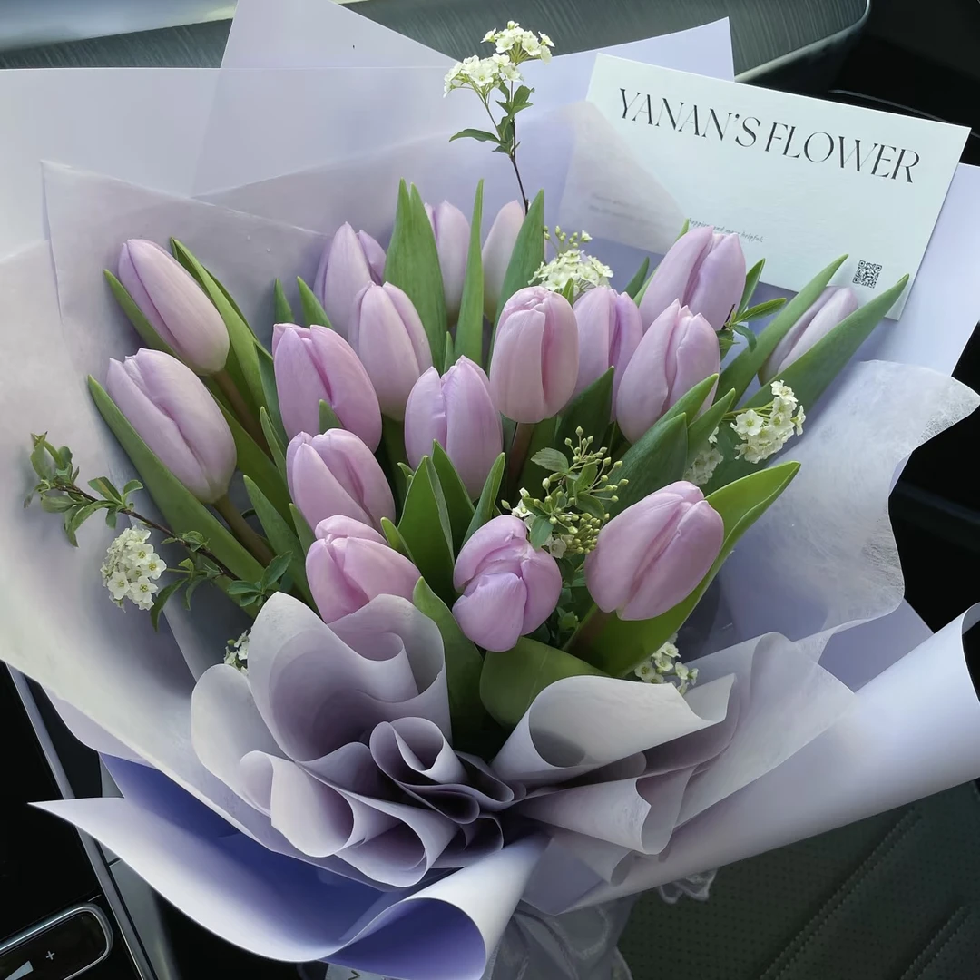 【香芋紫】郁金香东北鲜花基地直发顺丰包邮办公室简单点缀