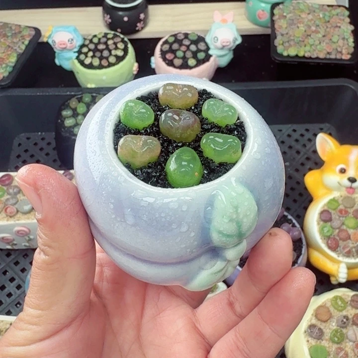 555零下地区记得拍保温箱