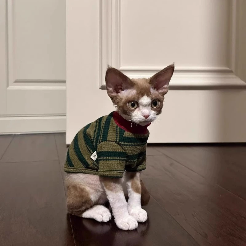 猫咪衣服春秋装防掉毛条纹背心可爱无毛猫布偶猫德文猫秋冬天卫衣