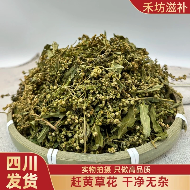 正宗古蔺赶黄草花可搭配决明子花茶泡水煮水正宗头茬花蕊