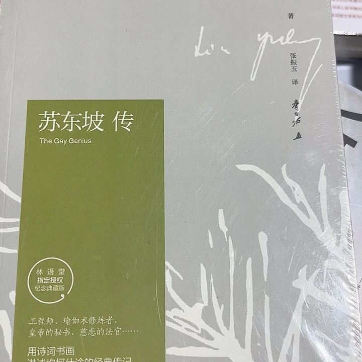 苏东坡传全新推荐