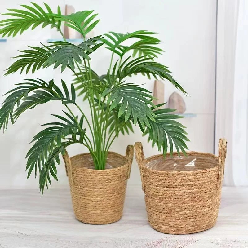 草编框，室内绿植用