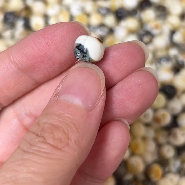 蜜蜡未镶嵌裸石9.4mm一个