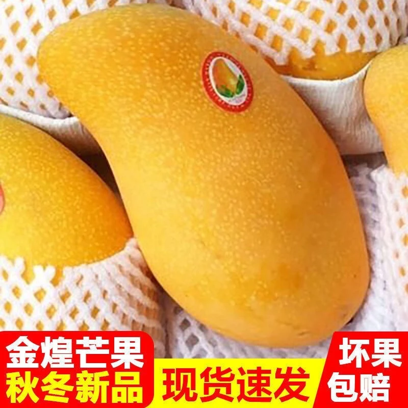 海南金煌芒2/5/9斤芒果一级大果新鲜水果现摘青甜心黄皮水仙芒