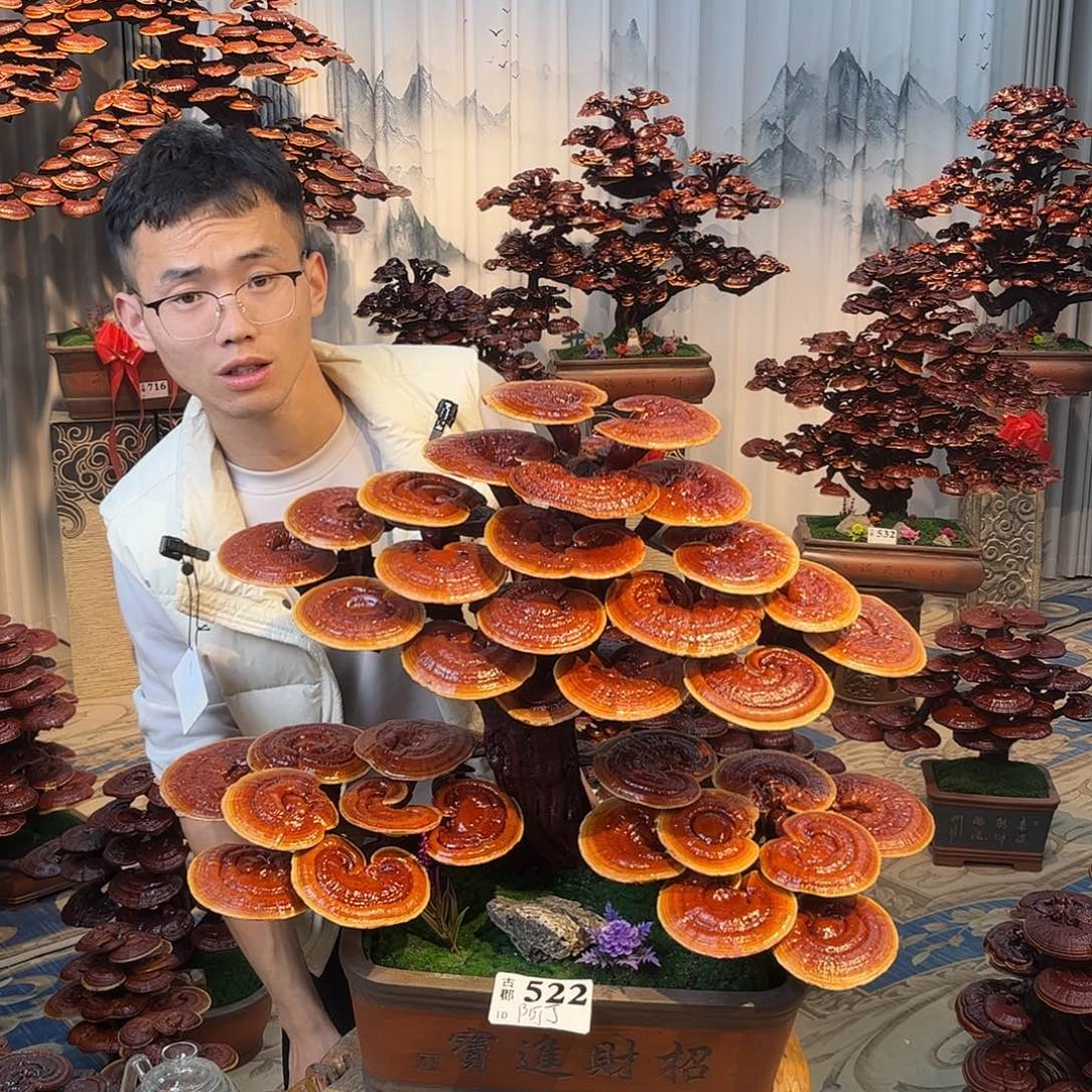 无花朵88888888888