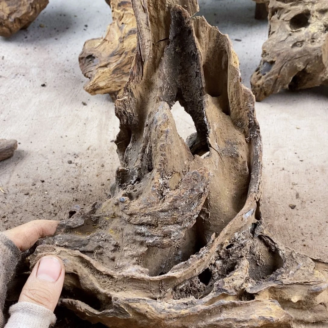 土***薯黄花梨/降香黄檀降香黄檀黄花梨