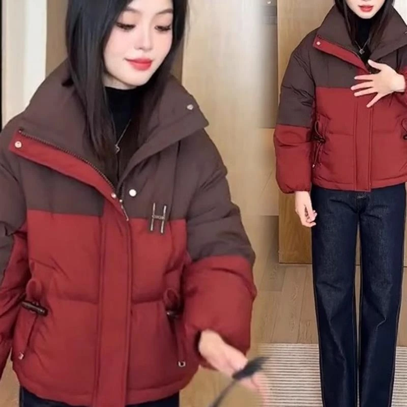 韩式冬季女性时尚色块立领棉衣新设计小众加厚棉衣短外衣