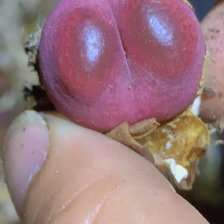 489888989989889989989