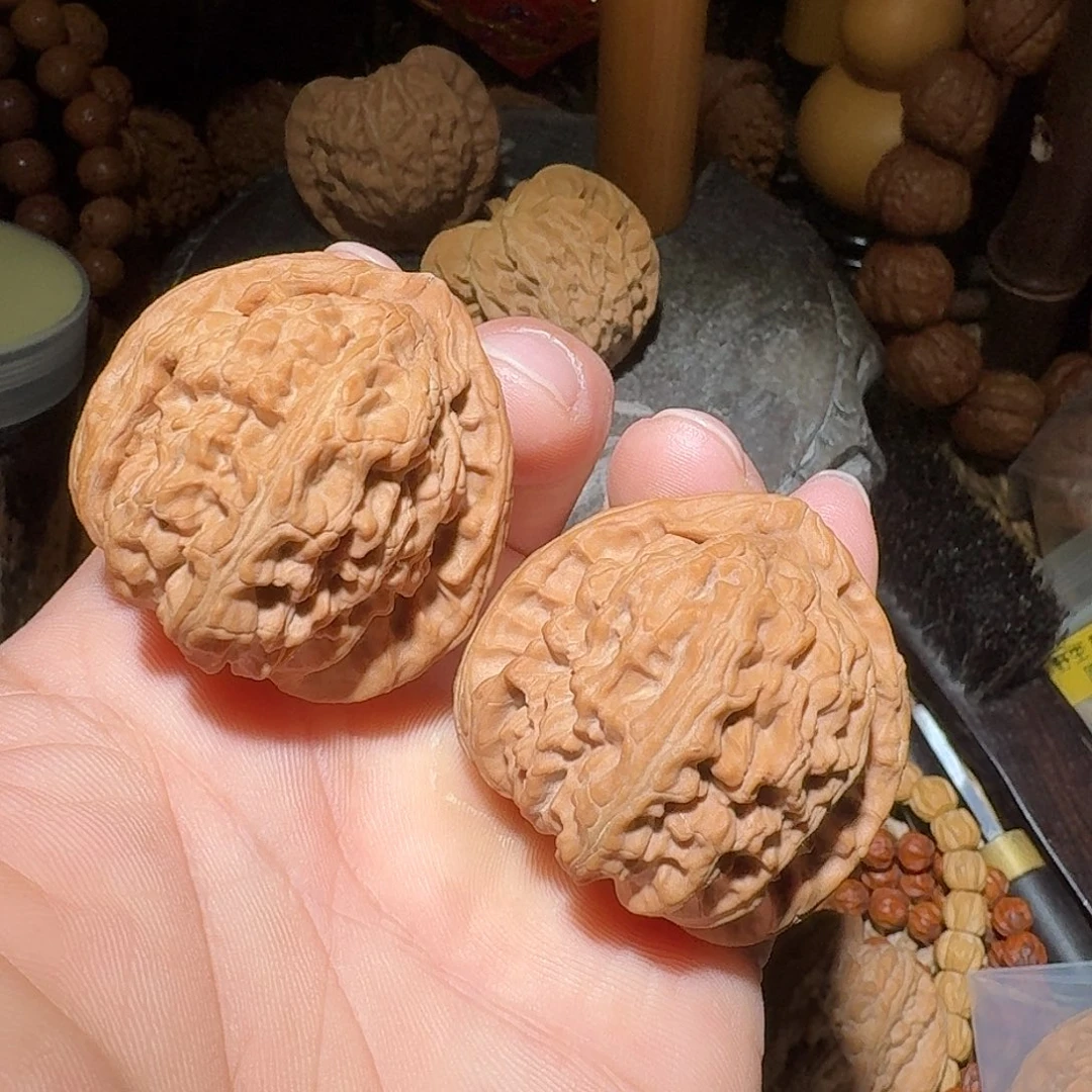 核桃41尺全品山地白狮子